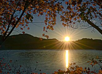 Radnor Lake TN