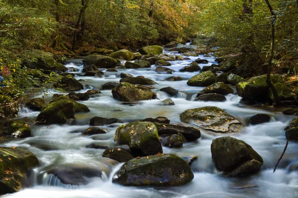 Fiume Carolina del Sud