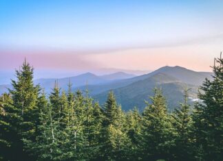 Mount Mitchell North Carolina