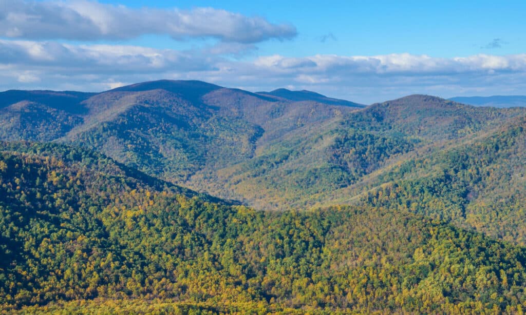 Vecchio Rag Mountain Virginia 