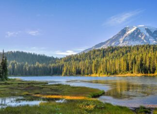 Best National Parks to Visit in October - Mount Rainier National Park