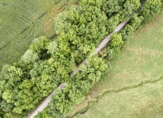 La pista ciclabile più lunga del Kentucky
