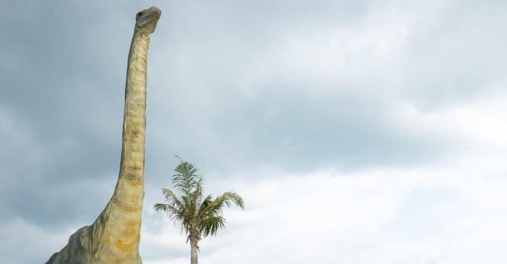 I più grandi dinosauri di sempre: Supersaurus vivianae