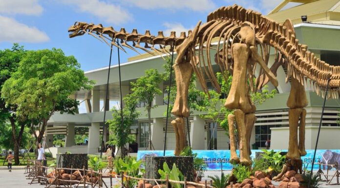 Qual era il più grande dinosauro erbivoro?
