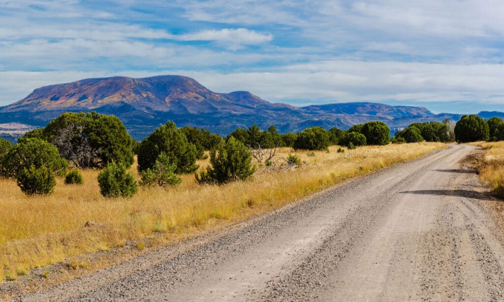 Montagna Escudilla Arizona