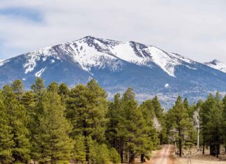 10 montagne uniche in Arizona
