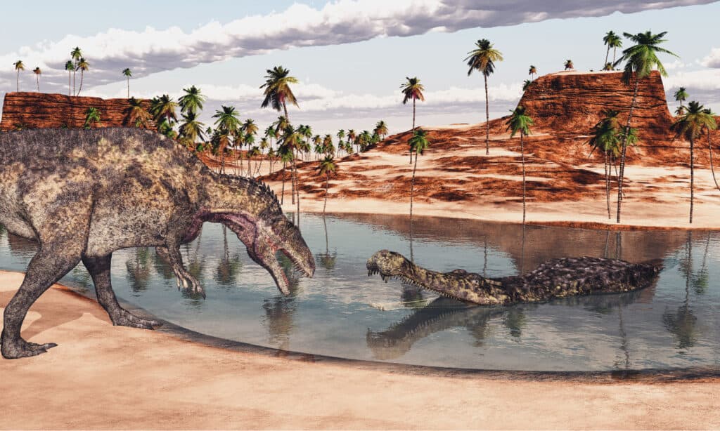 Acrocanthosaurus e Sarcosuchus