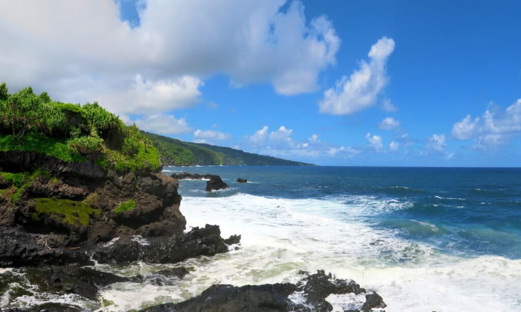 9 spiagge di Maui con il maggior numero di attacchi di squali