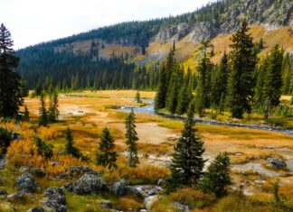 Quanti fiumi scorrono attraverso il Parco Nazionale di Yellowstone?
