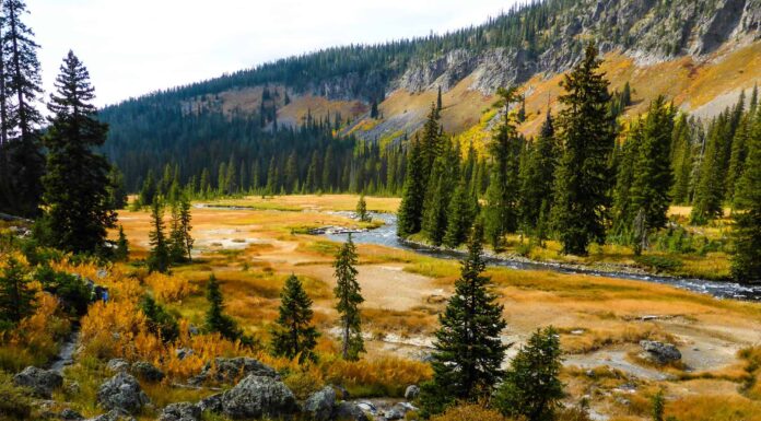 Quanti fiumi scorrono attraverso il Parco Nazionale di Yellowstone?
