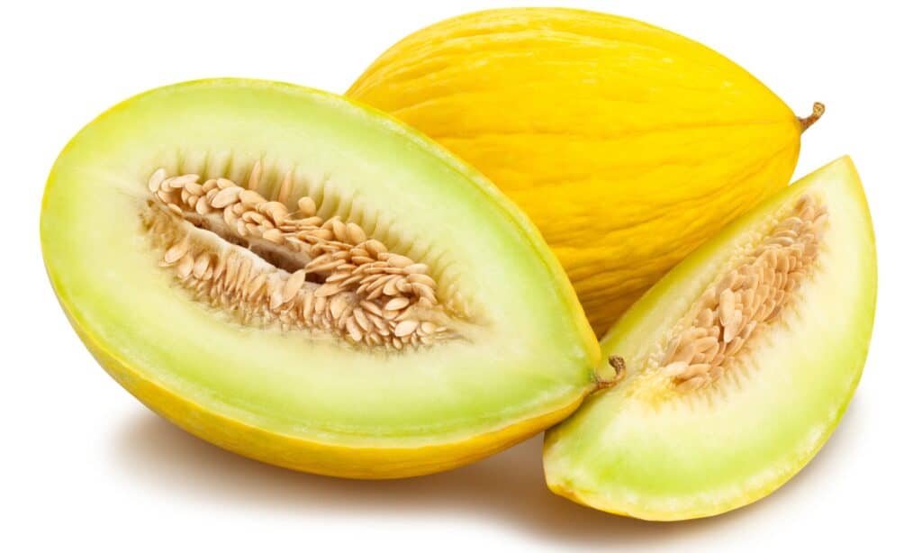 Melone contro Cantalupo