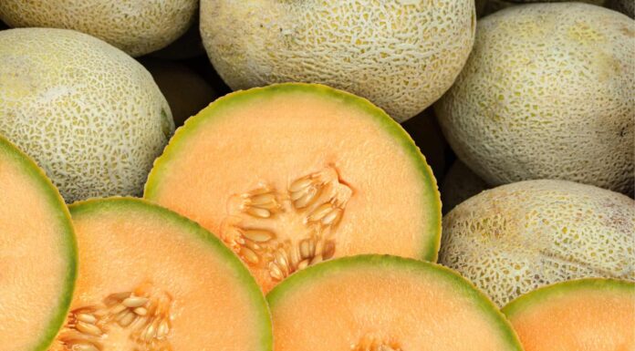 Sugar Kiss Melon vs Cantaloupe