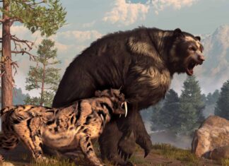 Discover the Largest Bear to Ever Exist (Up to 4X The Size of a Grizzly!)