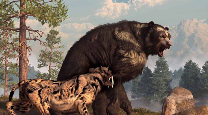 Discover the Largest Bear to Ever Exist (Up to 4X The Size of a Grizzly!)
