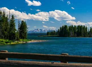 12 pesci che vivono nel Parco Nazionale di Yellowstone
