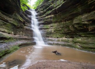 shawnee forest