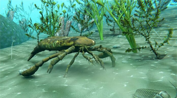 Scopri l'antico scorpione di mare con una mortale coda appuntita
