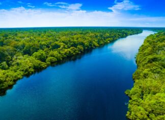 Quanto è largo il Rio delle Amazzoni nel suo punto più largo?
