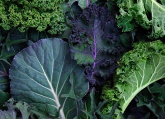 Collard Greens vs Kale