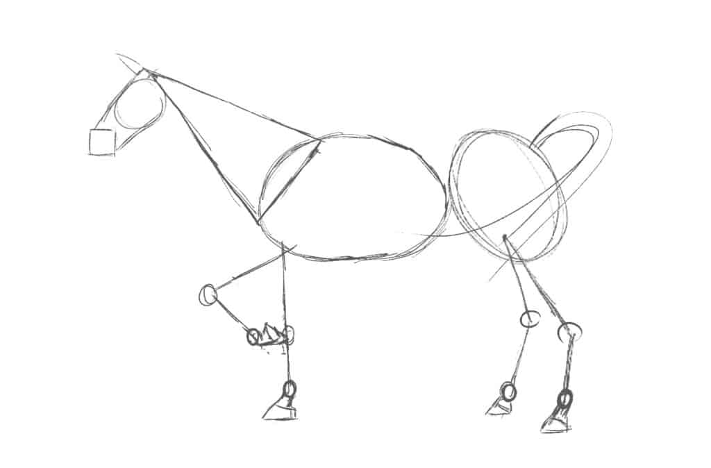 Come disegnare un cavallo passo 1c