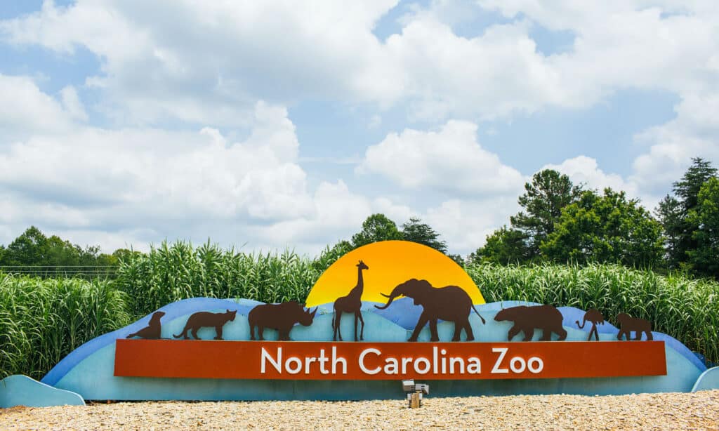 Zoo della Carolina del Nord
