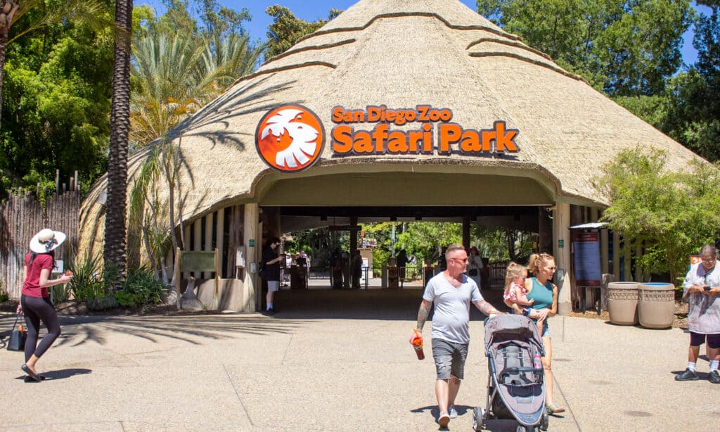 Safari allo zoo di San Diego