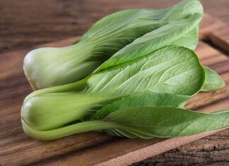 Bok Choy vs Baby Bok Choy