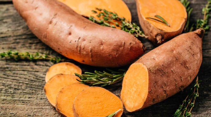 Butternut Squash vs Sweet Potato