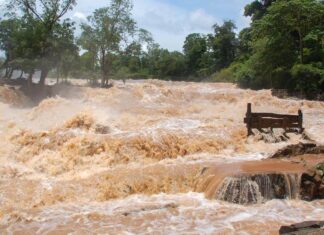 Scopri il lato oscuro del fiume Mississippi
