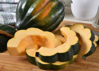 Acorn Squash vs Butternut Squash