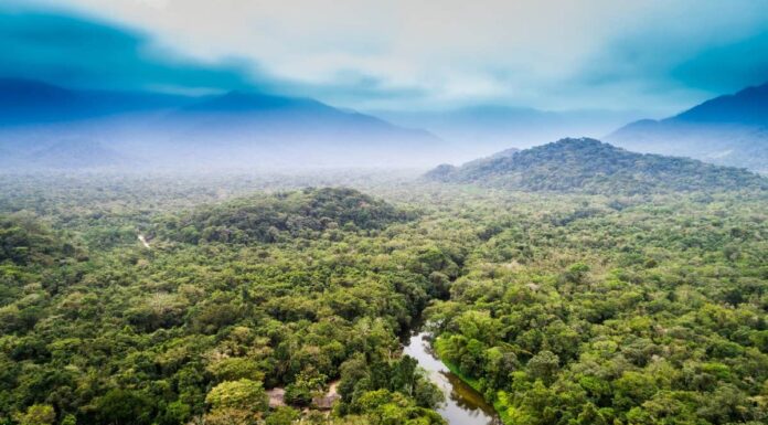 Da dove inizia il Rio delle Amazzoni?
