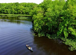 Trap Pond & State Park