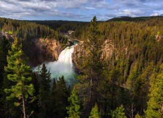 Le 7 migliori escursioni nel Parco Nazionale di Yellowstone
