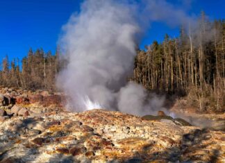 Best Geysers in Yellowstone National Park