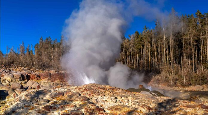 Best Geysers in Yellowstone National Park