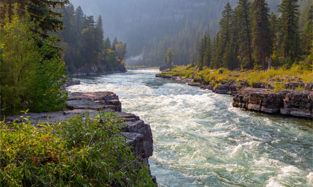 Perché il fiume Snake è uno dei fiumi più minacciati d'America