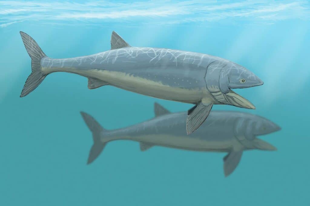 Leedsichthys problematicus