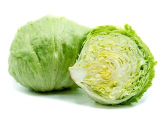 Iceberg Lettuce vs Cabbage