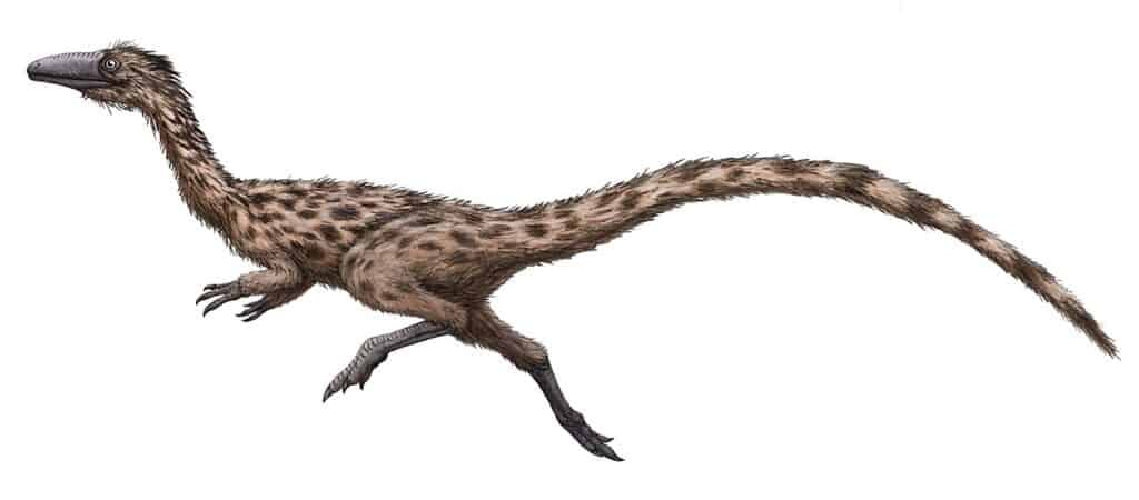 Podokesauro