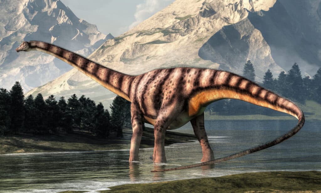 Rendering 3D del Diplodocus