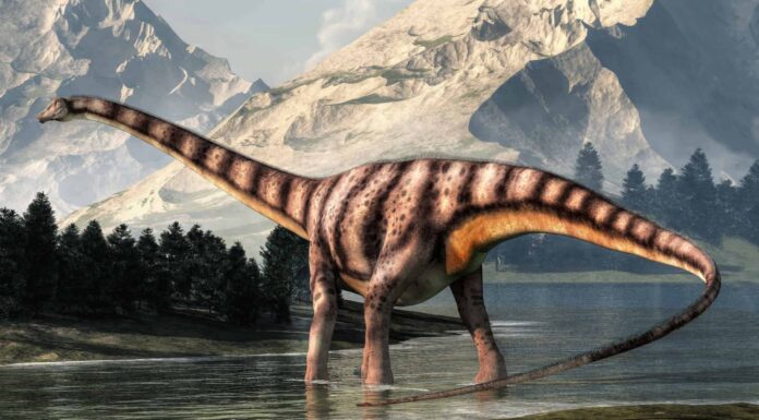 Tyrannosaurus rex stomping through a prehistoric landscape