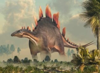 Questo dinosauro mortale è stato anche il più stupido di sempre?
