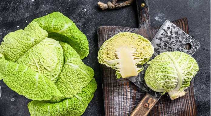 Savoy Cabbage vs Green Cabbage
