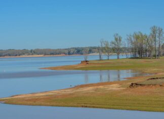 Pickwick Lake