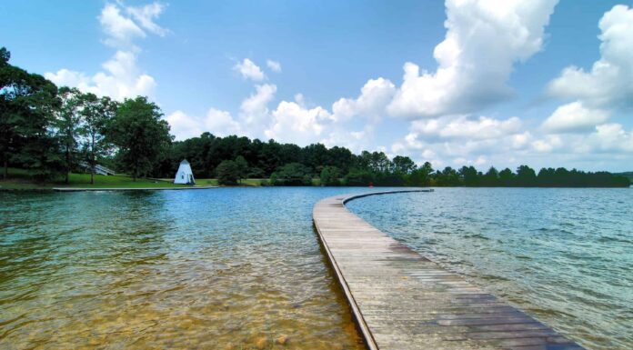 I 5 migliori luoghi di pesca in Alabama quest'estate
