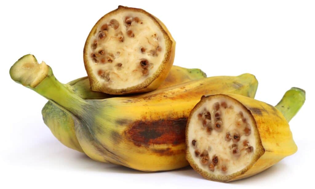 Piantaggine contro banana
