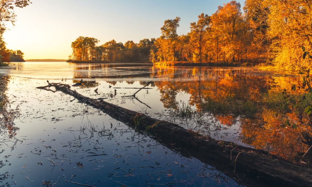 Crab Orchard Lago Illinois