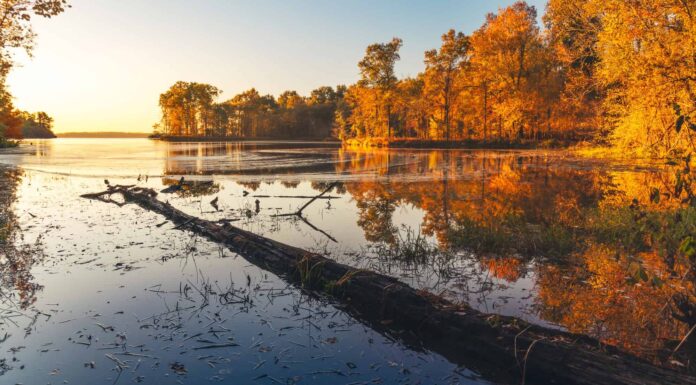 Rend Lake Illinois