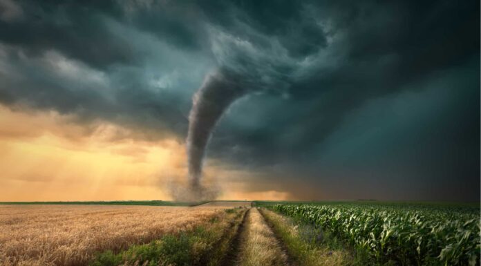 I 6 peggiori tornado negli Stati Uniti e la distruzione che hanno causato

