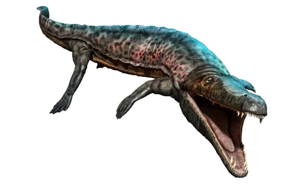 Archegosauro